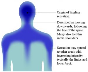 FIgure of a human that describes the effect of ASMR upon experiencing ASMR tingles