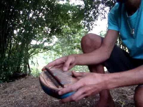 Kalimba in the woods