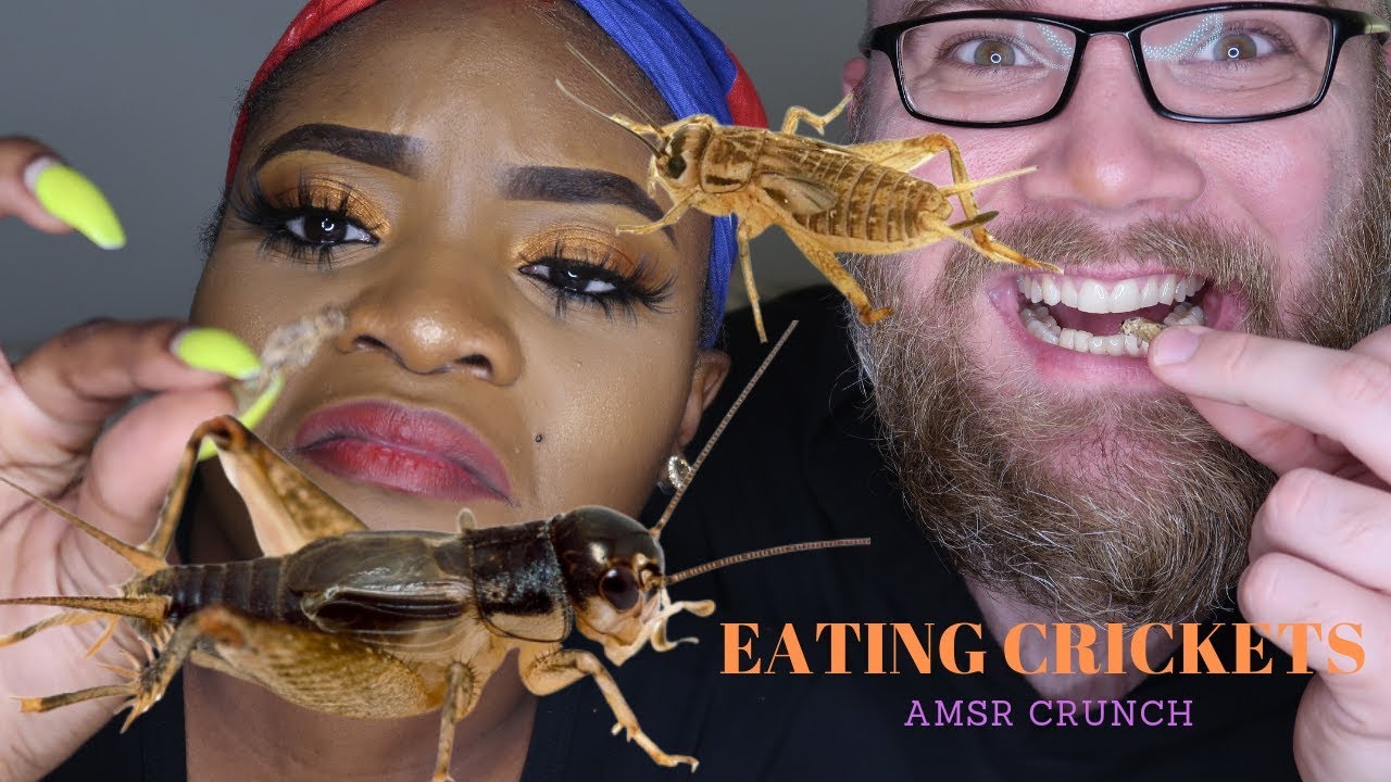 Eating crickets ASMR