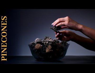 ASMR | 4K | Pinecone | Tapping & Scratching | Relaxing (No Talking)